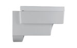Kohler Terrace Wall Hung Pan & Seat - Image 3