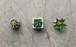 Mystic Grey Matt Slab 1200x3000mm - Image 3