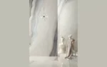 Opal White Polished 1198x2748mm - Image 4